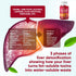 VVNaturals Sugar-Free 26-in-1 Liver Cleanse Detox & Repair Fatty Liver Formula Gummies; 3000mg Blend of Glutathione, Silymarin Milk Thistle, Choli...