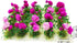 20Pcs Miniature Flower Cluster Grass Flower Tufts for Mini Dollhouse Fairy Garden Railway Simulated Static Scenery Micro Landscape Model (Rose)...