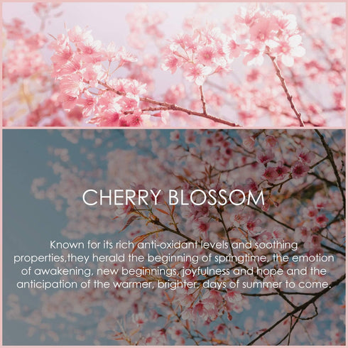 Cherry Blossom Essential Oil 120ml (4 Fl Oz), SALKING Pure & Natural Fragrance Oils, Aromatherapy Essential Oils for Diffuser, Massage, Soap, Cand...