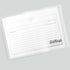 50 Gold Foil Bee Recipe Cards from Dashleigh, 4x6 inches, Double-Sided...
