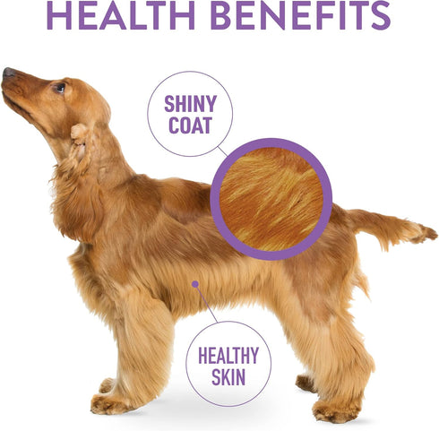 DOGSWELL Skin & Coat Soft & Chewy Dog Treats, Salmon, 14 oz. Pouch...