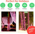 Super-Bright Extendable Pink Christmas Lights Decoration 100Lights 19.6ft UL Certified Mini Bulb String Lights Set for Outdoor Christmas Tree Gard...