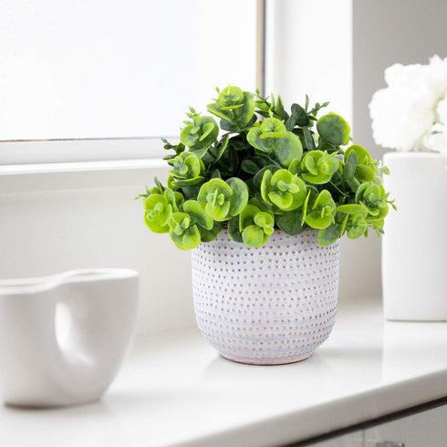 Artificial Lysimachia Plants in Ceramic Planter Cute Fake Succulent Flowers Potted for Home Office Table Desk Decor Living Room Bathroom Bedroom S...