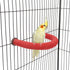 Bird Perches Parrot Cage Perch Rough Surface Perch Stand for Parakeets Budgies Cockatiels Conures Lovebirds (Small (Red)...