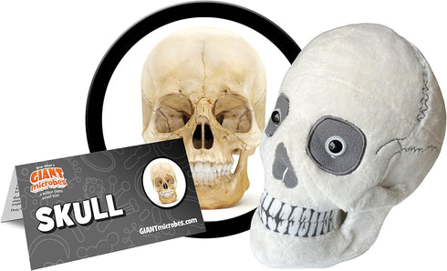 GIANTmicrobes Skull Plush, Skull Stuffed Animal, Anatomical Skull Gift, Halloween Skull Decor, Anatomy Skull, Human Skull Model Plushie, Skull Ana...