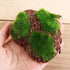 6Pcs Foam Moss Green Hay Stone DIY Family Garden Decoration Vase Glass Moss Miniature Landscape Artificial Plant...