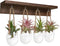 4 Pcs Wall Hanging Glass Plant Stand indoor, Desktop Propagation Stations Plant Pot Wall vase with Wooden Stand Eggshell Shape-Water Planting Air ...