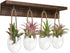 4 Pcs Wall Hanging Glass Plant Stand indoor, Desktop Propagation Stations Plant Pot Wall vase with Wooden Stand Eggshell Shape-Water Planting Air ...