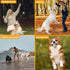 Dog Balls Toys for Aggressive Chewers, Indestructible Durable Bouncy Floating Balls for Dogs to Fetch, Durable Solid Rubber Ball for Training Dog(...