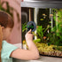 Fish Tank Digital Thermometer Accurate LED Display to ±0.9°F Tank Thermometer Aquarium Temperature Measurement Suitable for Fish, Axolotl, Turtle ...