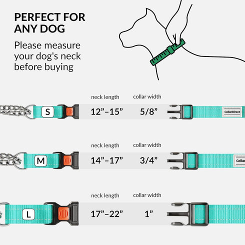 CollarDirect Martingale Dog Collar with Stainless Steel Chain and Quick Release Buckle - Reflective Collar for Large, Medium, Small Dogs - Mint Gr...