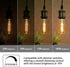 ST58 (ST19) Vintage Edison LED Bulb, Warm White 2500K, Antique Flexible Spiral LED Filament Light Bulb, 600LM Dimmable, 6W Equivalent to 60W, CRI ...