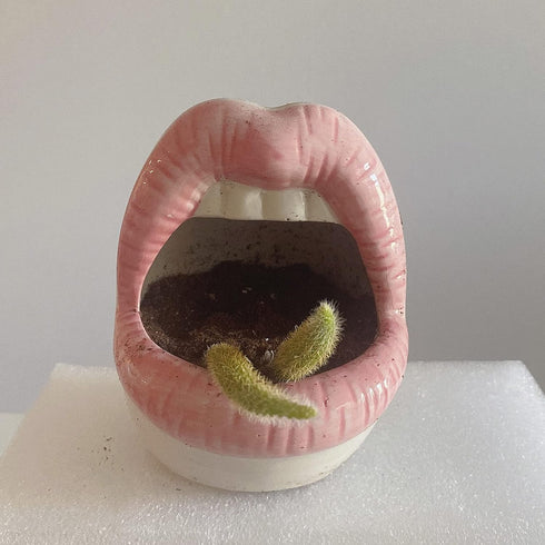 lemonadeus Multi-role Ceramic Sexy Lips Planter Stylish Lip Pot/Gadget Storage Mouth Planter Unique Ash Tray Ceramic Container (Pink)...