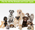 Pet Grooming Brush, Double Sided Detachable Shedding Dog Cat Brush, 5 in 1 Dog Grooming Brush for Shedding Long & Short Haired Dogs, Hair Removing...