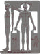 Pickett Male Human Figure Template (1140I)...