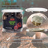 VIGOROUS MOUNTAINS Dried Shiitake Mushrooms for Cooking, 2-3CM Dehydrated Mushrooms, Dry Fresh Vegan No Fumigation Sulfur (1.5Oz)...