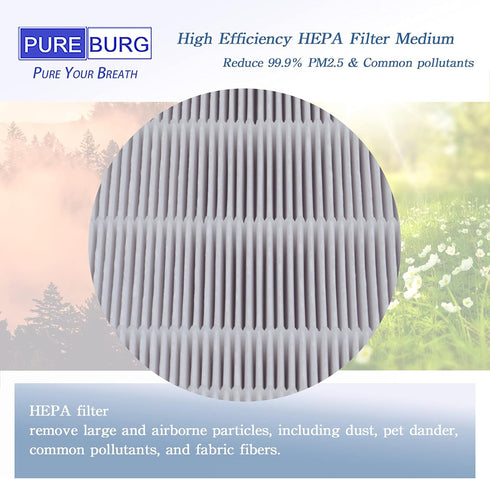 PUREBURG Replacement HEPA Filter Fits to Molekule Air Purifier, High-efficiency air clean Dust VOCs Pet-Hair Home Office, 1-Pack...