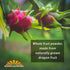 Dragon Fruit Powder, Freeze-Dried Pink Pitaya - Exotic Superfood, Rich in Vitamins and Minerals, Perfect for Coloring in Drinks, Snacks & Baking (...