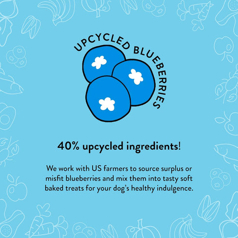 Shameless Pets Soft-Baked Dog Treats, Blueberried Treasure - Natural & Healthy Dog Chews with Mint for Immune Support - Dog Biscuits Baked & Made ...