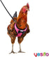 Chicken Harness Hen size with 6-foot Matching belt, Comfortable, Breathable, Small Size, Suitable for Chicken, Duck or Goose Suitable for Weight a...