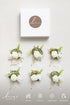 Ling's Moment Boutonniere for Men, 6pcs Groom Groomsmen Boutonniere, Artificial Flowers for Wedding Decor/Prom/Homecoming, etc.White Baby Breath I...