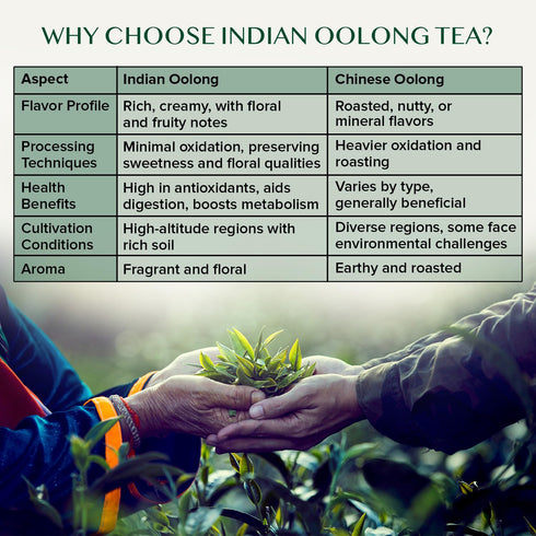 VAHDAM White Mountain Oolong Tea Loose Leaf (25 Cups/1.76oz) Pure Oolong Tea Leaves | High Elevation Grown | Vacuum Sealed | Brew Hot, Iced, Kombu...