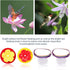 SUQ I OME 2 pcs of Hummingbird Hand Feeder for Outdoors Flower Hand Held Hummingbird Feeder Tools Mini Hand Feeding Tools Backyard Nature (Wrist S...