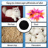 6 Pack Sponge Filter Compatible with Neabot & Neakasa P1 Pro Pet Grooming Kit & Vacuum...