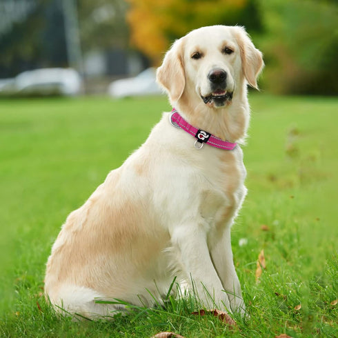 azuza Reflective Dog Collar,Soft Neoprene Padded Pet Collar with ID Tag Ring,Adjustable for Large Dogs,Hot Pink,L...