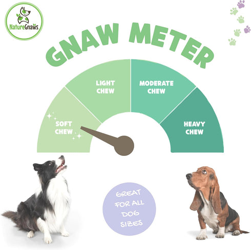 Nature Gnaws USA Crunch Chips for Dogs - Single Ingredient Natural Dog Chew Jerky Treats – Made in USA (6 oz)...