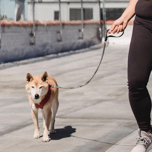 Chain Heavy Duty Metal Dog Leash, 6FTx3mm Chew Proof Pet Leash Chain with Soft Padded Handle for Large & Medium Size Dogs Walking, Training and Tr...