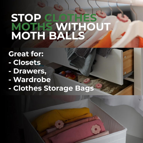 Cedar Rings for Clothes Storage – Stop Clothes Damage - 30 Fresh Cedar Rings to Protect Your Clothes...