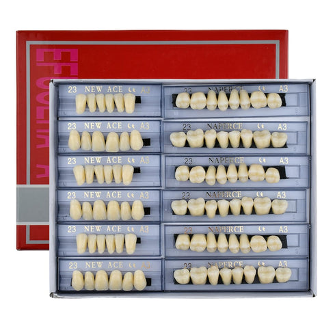 168 Pcs Dental Synthetic Resin Tooth Denture 3 Sets False Teeth 23 A3 Upper Lower Shade Dental for Halloween Horror Teeth...