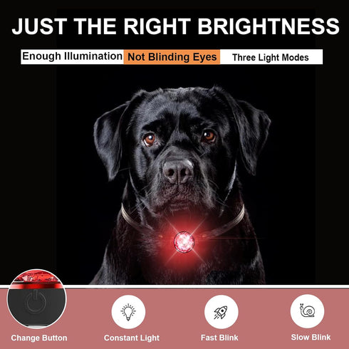 dog collar lights for nighttime clip on, 3 modes Dog Light Rechargeable, 100% Waterproof light for dog collar to see dogs at night. Pet Collr Acce...