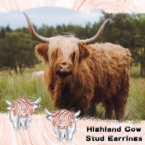 Highland Cow Stud Earrings for Womens 925 Sterling Silver Western Cow Earring Rose Gold Cow Jewelry Animal Earrings Gifts for Women Scottish Highl...