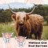 Highland Cow Stud Earrings for Womens 925 Sterling Silver Western Cow Earring Rose Gold Cow Jewelry Animal Earrings Gifts for Women Scottish Highl...
