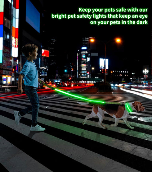 LED Dog Leash - Enhance Safety and Visibility | Reflective 4 FT Leash with Padded Handle | USB Rechargeable Light Up Leash for Dogs | Glow in The ...