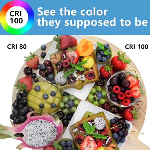 MR16 Halogen Bulb 12V 35W GU5.3 Bi-Pin Base, 2800K Warm White, Dimmable, High Output for Track Light, Landscape(Pack of 6)...