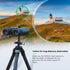 FANAUE S2-01 Binocular Tripod Adapter with 1/4-20" Thread Compatible with Porro Binoculars and Arca Ball Heads, Universal Quick Release for Bird W...