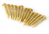 Brass Nails, 100 Pieces Round Head Gold Nails, Brass Wall Pins 10mm 15mm 18mm 22mm, Furniture Brass Tacks for Wood, for Hanging Picture Frame Mirr...