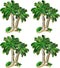 Palm Tree Cabinet Knobs Zinc Alloy Single Hole for Kitchen Cabinet Drawer Dresser Wardrobe Handles Coconut Tree Beach Ocean Theme Home Kitchen Dec...