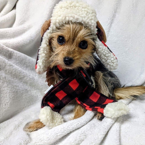 Huxley & Kent Pet Scarf | Buffalo Check (Large) | Festive Christmas Holiday Accessory for Dogs/Cats | Holiday Pet Scarf Neckwear| Cute Fun Winter ...
