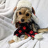 Huxley & Kent Pet Scarf | Buffalo Check (Large) | Festive Christmas Holiday Accessory for Dogs/Cats | Holiday Pet Scarf Neckwear| Cute Fun Winter ...