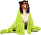 Extra Large Dog Towels for Drying Dogs Super Absorbent Soft Microfiber Pet Bath Grooming Towel for Dogs and Cats & Other Pets (XL-55" * 36", Green...