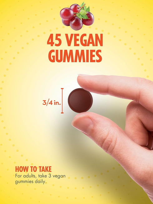 Sundance Iron Gummies | Plus B-Vitamins | 45 Vegan Gummies | Grape Flavor | Vegan, Non-GMO, and Gluten Free Supplement...