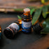 Summer Essential Oils for Diffusers for Home, CAKKI Fragrance Oils Set, 6X10ml with Coconut Passion,Plumeria, Pina Colada, Aqua Kiss, Natural Arom...