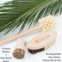 Wood and Tampico Bottle Brush - Pot Brush - Vegetable Brush Set - Zero Waste, Compostable & Biodegradable Kitchen Brushes...
