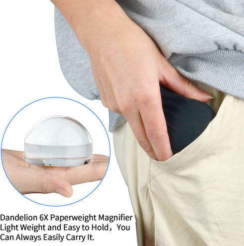 Dandelion 6X Dome/Paperweight Magnifier w/Pouch Table Magnifying...