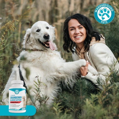 Wanderfound Pets Ultimate Cranberry Bladder UTI Support Supplement for Dogs - Dog Urinary Tract Infection Incontinence Formula with Cordyceps Mush...