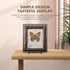 Plate Holder Easel Display Stand - 4.5 inch Metal Plate Stands for Display - Tabletop Picture Stand - Black Iron Easels for Display Pictures | Pho...